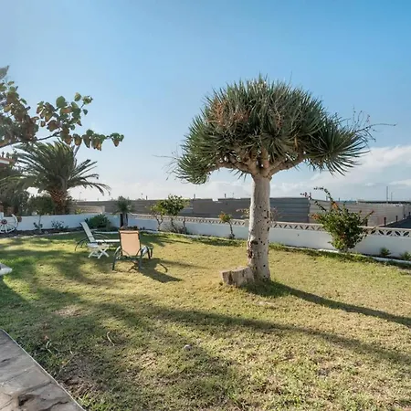 Del Mar Mar * Palm-mar